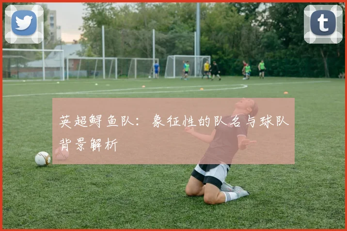 英超鲟鱼队：象征性的队名与球队背景解析