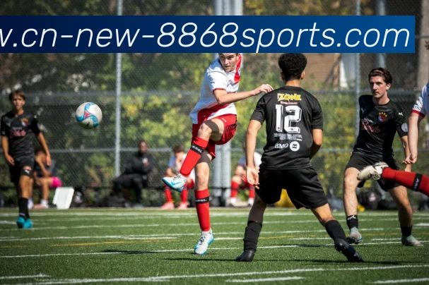 8868体育平台生态图